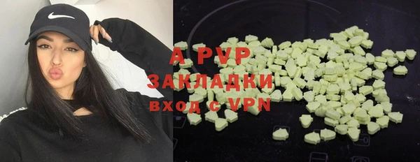 ГАЛЛЮЦИНОГЕННЫЕ ГРИБЫ Переславль-Залесский