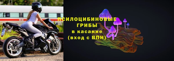 скорость Пересвет
