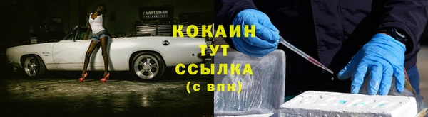 ГАЛЛЮЦИНОГЕННЫЕ ГРИБЫ Переславль-Залесский