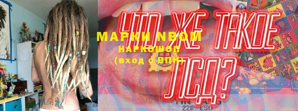ГАЛЛЮЦИНОГЕННЫЕ ГРИБЫ Переславль-Залесский
