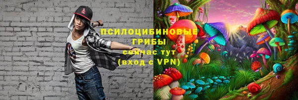 ГАЛЛЮЦИНОГЕННЫЕ ГРИБЫ Переславль-Залесский