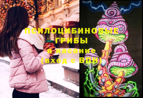 винт Тосно