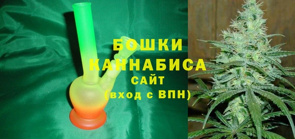 ГАЛЛЮЦИНОГЕННЫЕ ГРИБЫ Переславль-Залесский