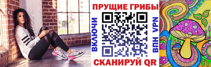 как найти закладки  ОМГ ОМГ как войти  Галлюциногенные грибы прущие грибы  Тула 