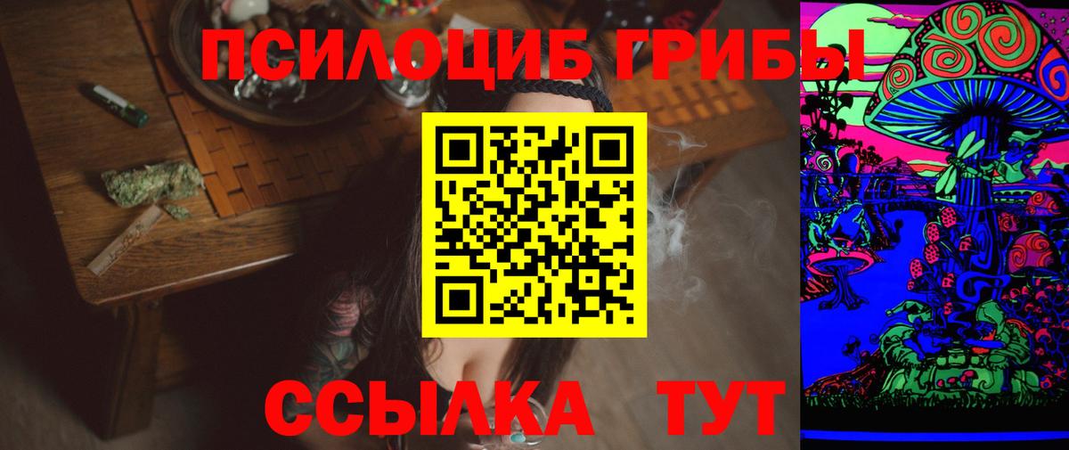Псилоцибиновые грибы GOLDEN TEACHER Тула